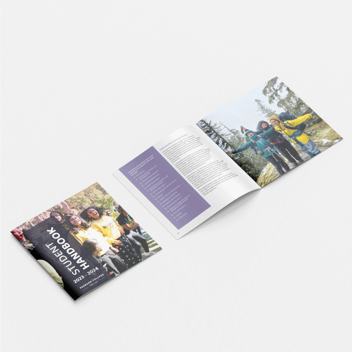 brochure-overview-700x700